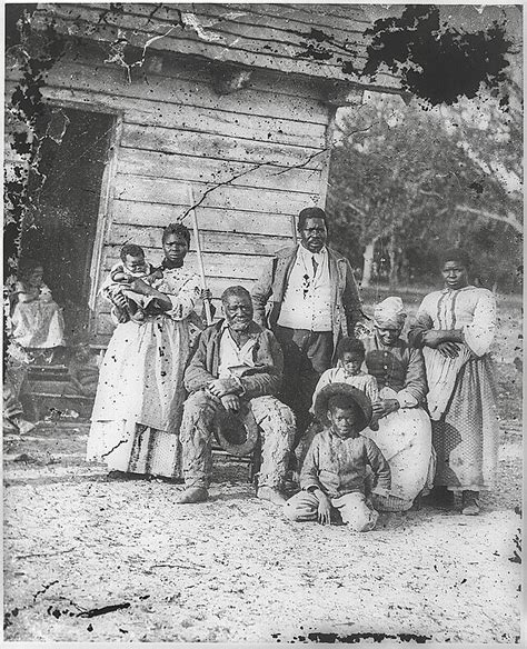 Slave breeding in the United States